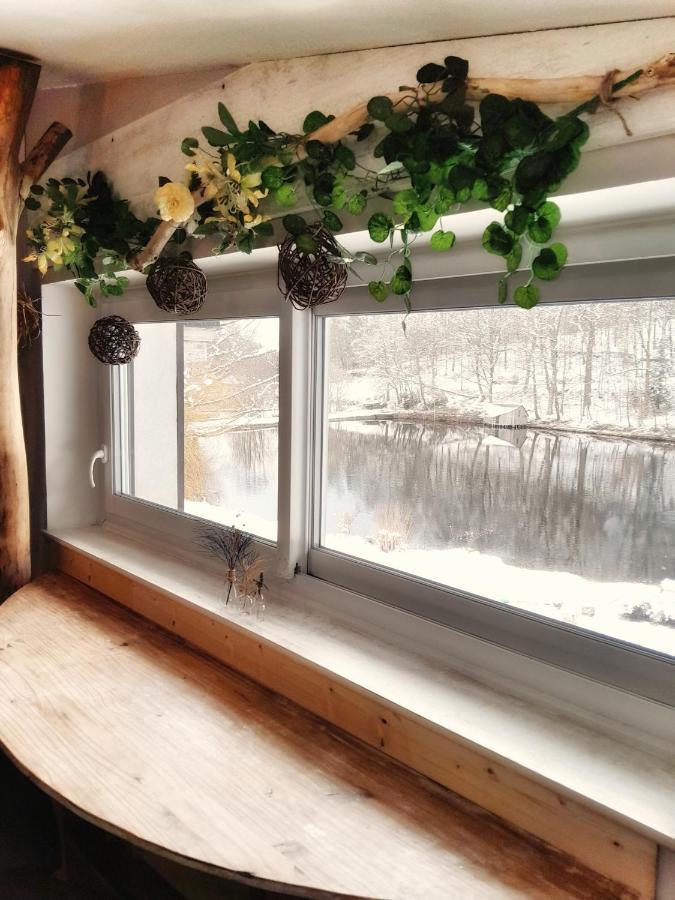 Le Crusoe A L'Etang D'Anty - Appartement Saint-Nabord Kültér fotó