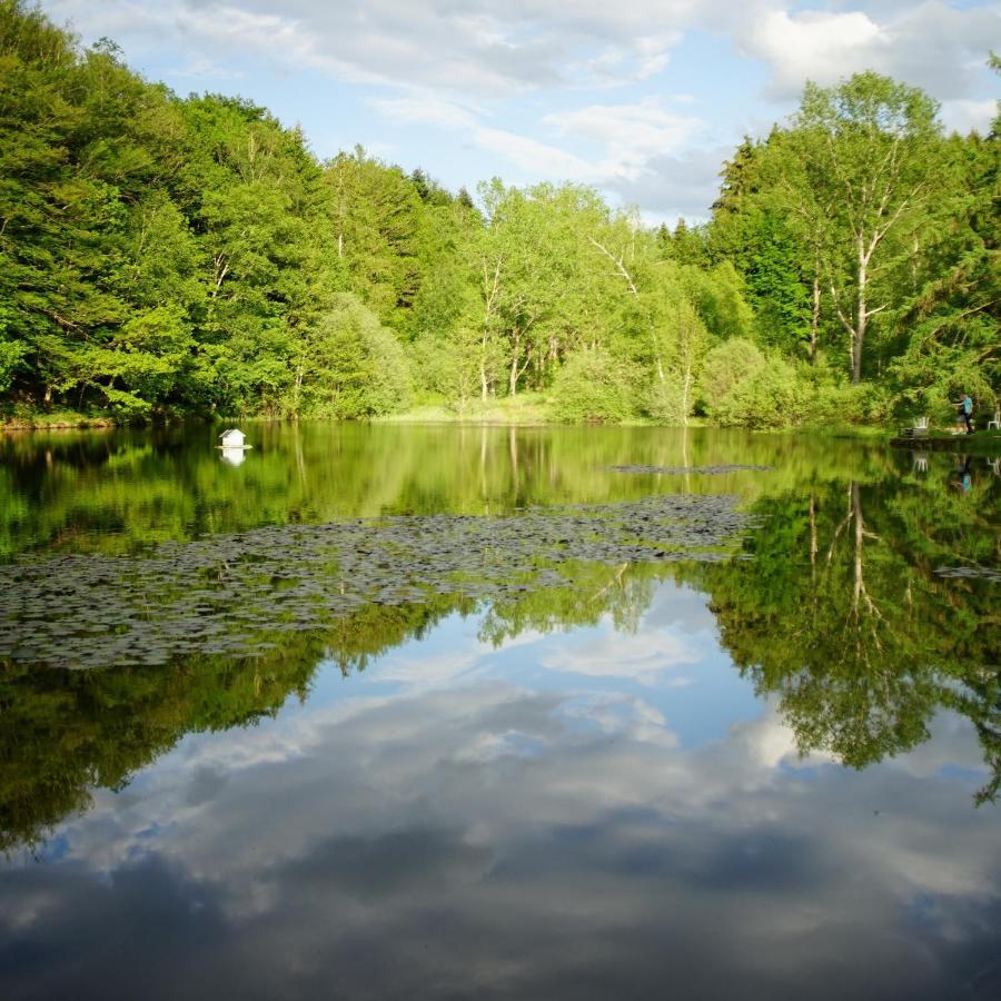 Le Crusoe A L'Etang D'Anty - Appartement Saint-Nabord Kültér fotó