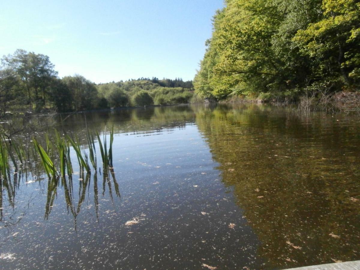 Le Crusoe A L'Etang D'Anty - Appartement Saint-Nabord Kültér fotó